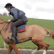 Image for article titled Crowds should cheer the uplifting sports-doc Dark Horse